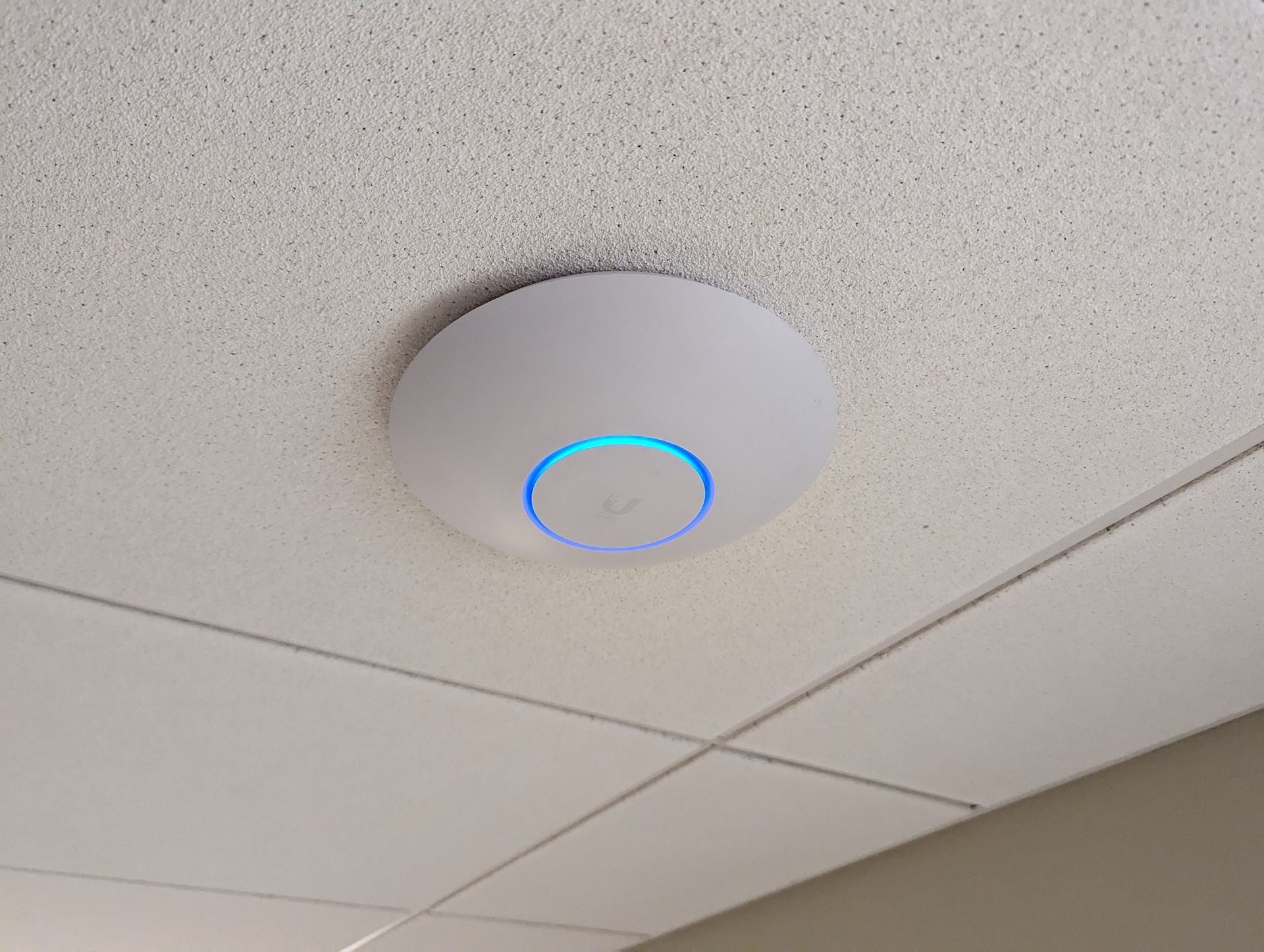 Ceiling Wi-Fi access point at Washington Pottery Company